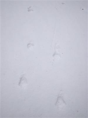 20180201_104427.png