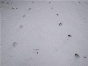 20180131_113108.png