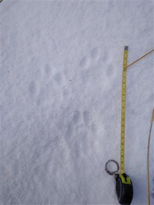 20180131_085236.png