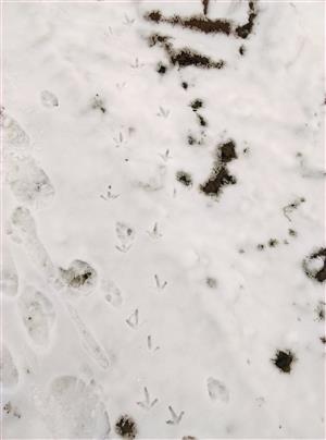 20180212_102430.png