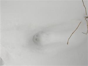 20180220_091631.png