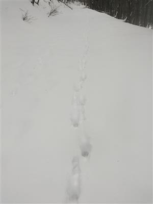 20180220_095832.png