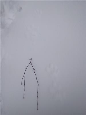20180222_082556.png