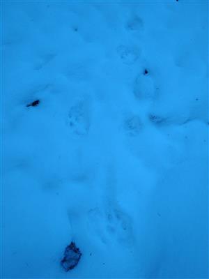 20180224_082803.png
