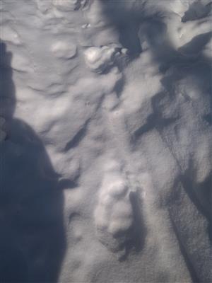 20180228_134508.png
