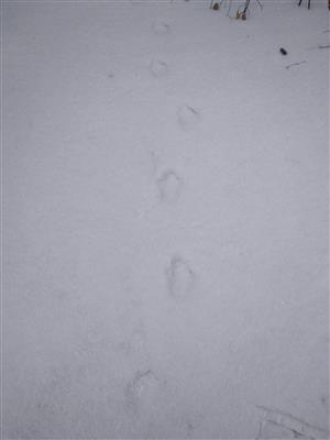 20180308_111440.png