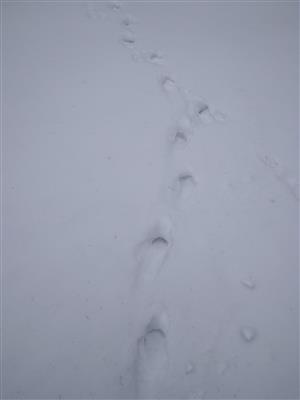 20180308_102846.png