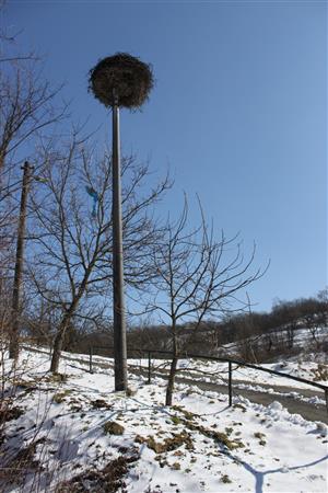 Hniezdo_Stakčinská Roztoka