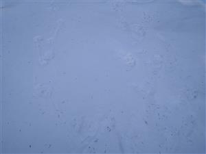 20180324_101433.png