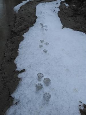 20180316_094200.png
