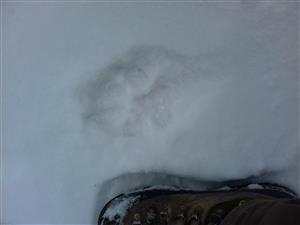 20180320_104601.png