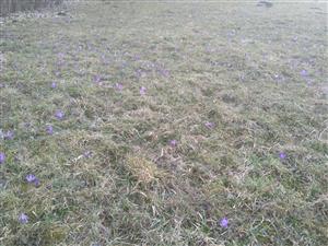 20180330_144528.png