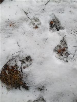 20180329_093328.png