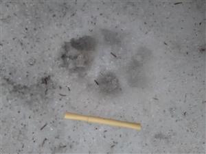 20180329_074352.png