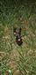 received_1819560861399346.jpeg