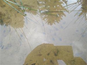 20180522_173457.png