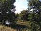 20180806_105050.png