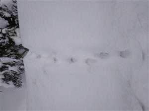 20190111_094722.png