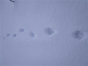 20190125_100312.png