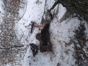 20190130_110547.png