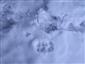 20190206_115540.png