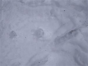20190202_114635.png