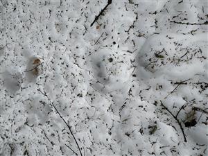 20190202_111539.png