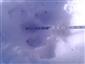 20190215_131719.png