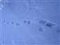 20190217_125310.png
