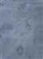 20190226_135505.png