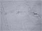20190307_111203.png