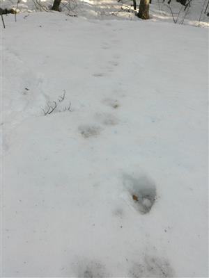 20190228_133947.png
