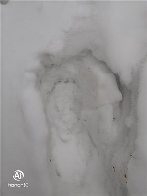 20190307_102932.png