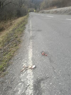 20190316_103620.png
