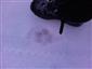 20190207_163649.png
