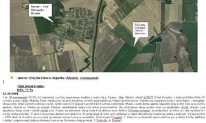 Informácia o výskyte M.eversmanii od J. Lengyela