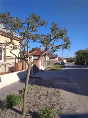 20190421_172252.png