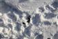 Kralova hora 16_12_2018_2
