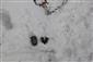 Roven_13_2_2019_6.