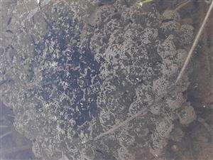 20190418_112701.png