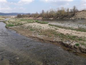 Rieky s bahnitými až piesočnatými brehmi s vegetáciou zväzov Chenopodionrubri p.p. a Bidentition p.p.