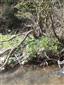 Fotografia