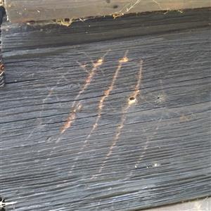 20191115_091801.png