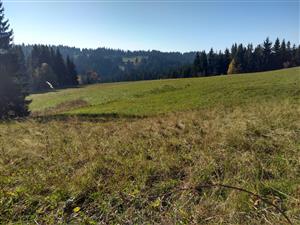 Pohľad na lokalitu 1