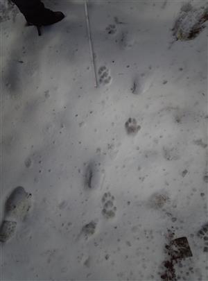 20190314_132221.png