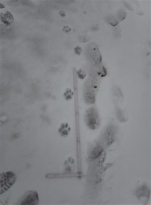 20190314_115037.png