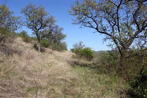 Ploská hora_doplnenie_A