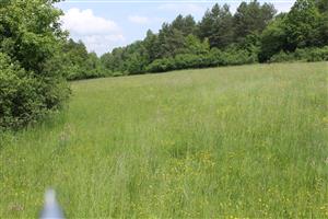 Brestov nad Laborcom