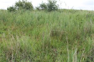 TMP Pavel-štrkovisko