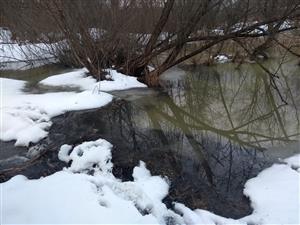 20210124_160340.png